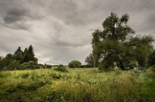 Feld außerhalb des Dorfes / ***