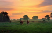 A colorful morning. / A summer morning in my region.