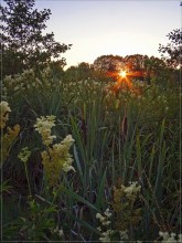 Sommer-Abend 2 / ***