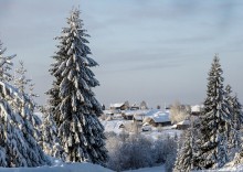 Wälder, Felder von ... / ***