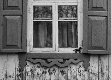 Passwort Spielzeug / ***