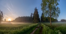 Auf den Straßen des Parks. / ***