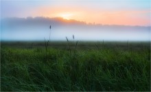 Über den Morgentau / ***