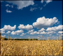 Heimat / ***
