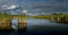 Mer Bleue Bog / Mer Bleue Bog