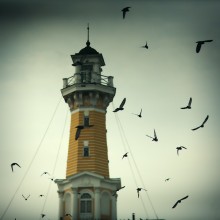 Feuerturm umgeben von Vögeln / ***