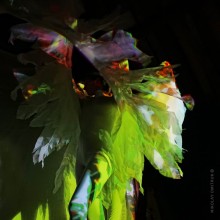 Flügel / ***
