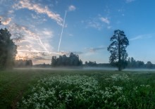 Längs des Weges des Nebels. / ***