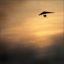 Abendflug / ***