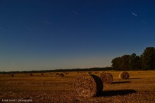 Nacht Feld / .......
