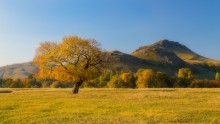 Goldener Herbst / ***