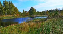 Herbst / ***