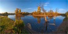 Goldener Herbst auf Lasve / ***