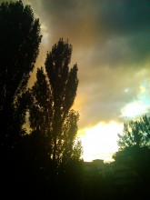 Aus dem Album &quot;Shades of purple&quot; / ***