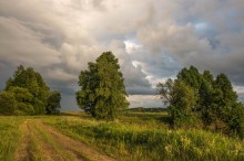 Sommerspaziergang / ***