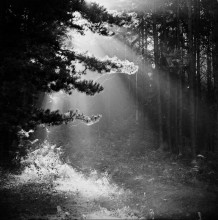 manifestation of the light ... / " Manifestation of the light ... "
Rolley_film Agfa Superpan-200 type120 (6x6sm)
Belarusian_autumn_2014 ;))
Belsky_2014
http://photoclub.by/author.php?id_auth=252&works=1#id_auth_photo=252&id_serie=2516&page=1