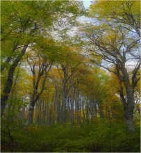 Malen Frühherbst / ---