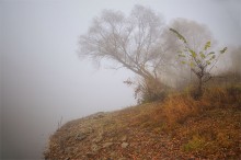 Herbst Morgennebel / ***