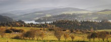 Landschaft mit Lämmern / ***