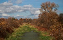 Herbst manchmal-4 / _____________________*