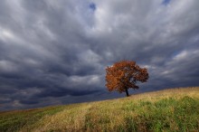 Herbst Kontraste / .....