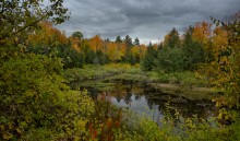 Transparent Autumn (@ Gatineau ) / Transparent Autumn (@ Gatineau )