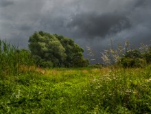 Gewitter über der Wiese ... / ...