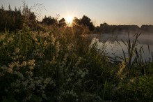 Über Tau und Nebel ... / ***