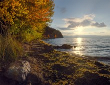 Gold Lake Baikal / ***