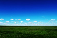 Primanychskaya Steppe. Rostov Reserve. / ___