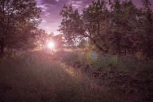 Sonnenuntergang am Rande der Stadt / ***