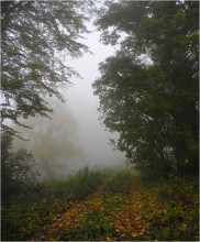 Die Straße im Nebel / ---