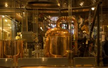 The 3 Brewers / The 3 Brewers