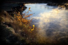 Autumn Fähre ... / ***