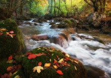 Autumn Canyon / ***