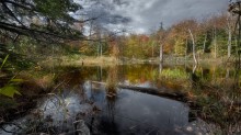 Transparent Autumn (@ Gatineau ) / Transparent Autumn (@ Gatineau )