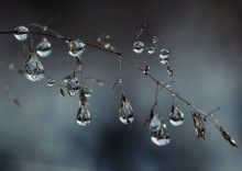 Droplets - Eiszapfen ... / ***