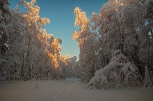 Ein Wintermärchen / ***