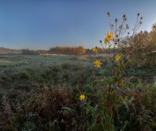 Sketch Herbst. / ***