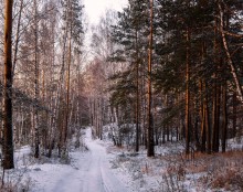 Straße im Winter. / ***