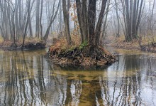 In der Wildnis Stokhid / ***