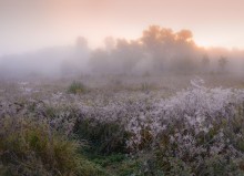 &quot;Farben der Frost am Morgen&quot; / ***