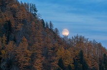 Der Mond geht auf. / ***