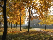 Nebligen Morgen goldenen Herbst / ***