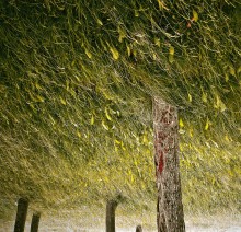 &quot;Tal der flüstert Gras&quot; / ***