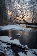 Ein Wintermärchen / ***