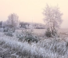 Morgen Frost / ***