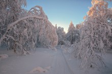 Winter-Straße / ***