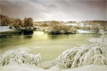 Zhorik im Schnee / ...