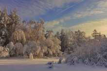 Frost und Sonne / ***